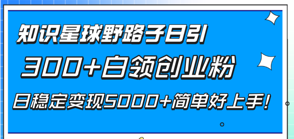 （8315期）知识星球野路子日引300+白领创业粉，日稳定变现5000+简单好上手！-保成圈-山云人力,分享创业咨询_最新网络项目资源