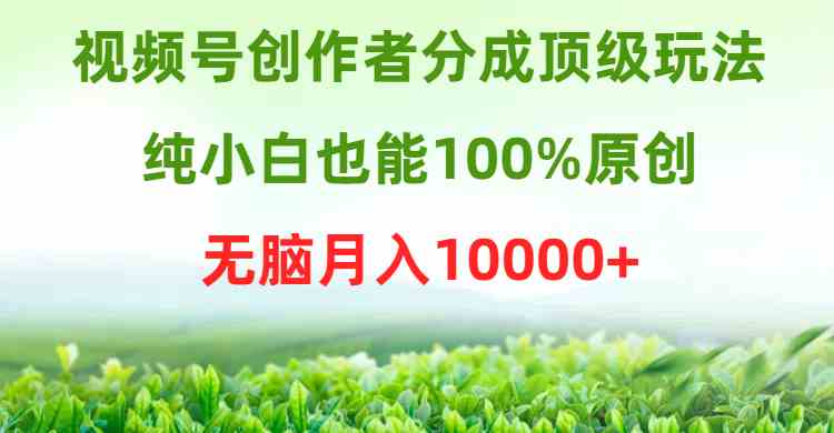（9608期）视频号创作者分成顶级玩法，纯小白也能100%原创，无脑月入10000+-保成圈-山云人力,分享创业咨询_最新网络项目资源