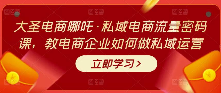 大圣电商哪吒·私域电商流量密码课，教电商企业如何做私域运营-保成圈-山云人力,分享创业咨询_最新网络项目资源