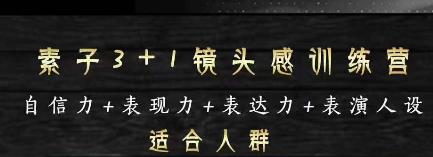 素子表现力训练营，提高自信力+表现力+表达力+表演人设，打造个人魅力ip-保成圈-山云人力,分享创业咨询_最新网络项目资源
