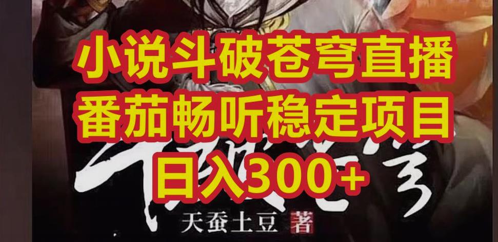 小说斗破苍穹直播，番茄畅听日入300+稳定项目【揭秘】-保成圈-山云人力,分享创业咨询_最新网络项目资源