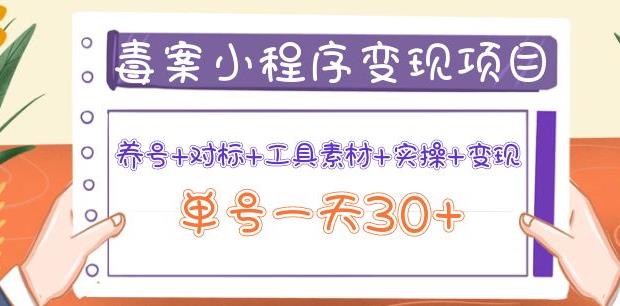 森罗万项毒案小程序变现项目：养号+对标+工具素材+实操+变现，单号一天30+-保成圈-山云人力,分享创业咨询_最新网络项目资源