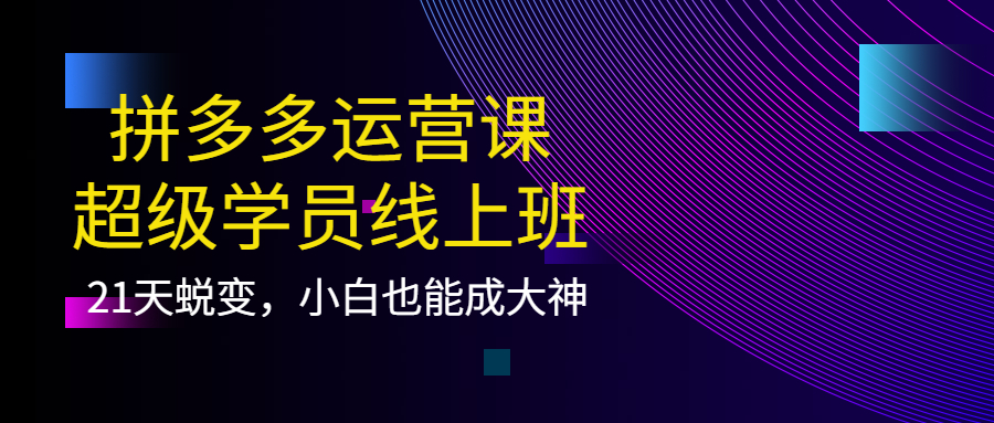 （3929期）拼多多运营课：超级学员线上班，21天蜕变，小白也能成大神-保成圈-山云人力,分享创业咨询_最新网络项目资源