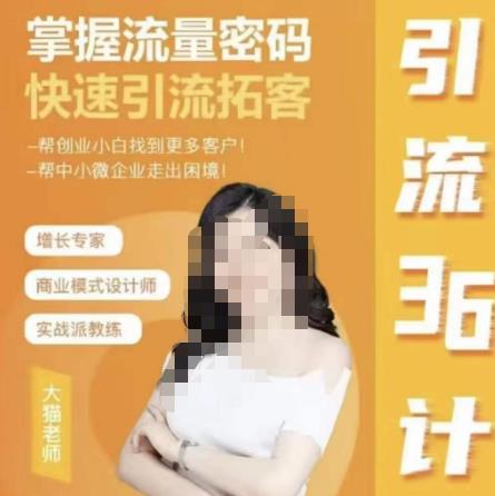 大猫·引流36计，掌握流量密码，快速引流拓客，帮创业小白找到更多客户，帮中小微企业走出困境-保成圈-山云人力,分享创业咨询_最新网络项目资源