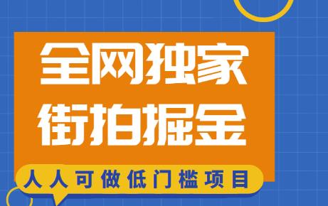 全网独家一街拍掘金，低门槛人人可做的赚钱项目【揭秘】-保成圈-山云人力,分享创业咨询_最新网络项目资源
