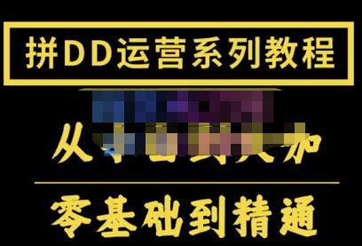 2022全套拼多多核心实操课程，从0-1轻松起链接实战，低投入高产出运作店铺-保成圈-山云人力,分享创业咨询_最新网络项目资源
