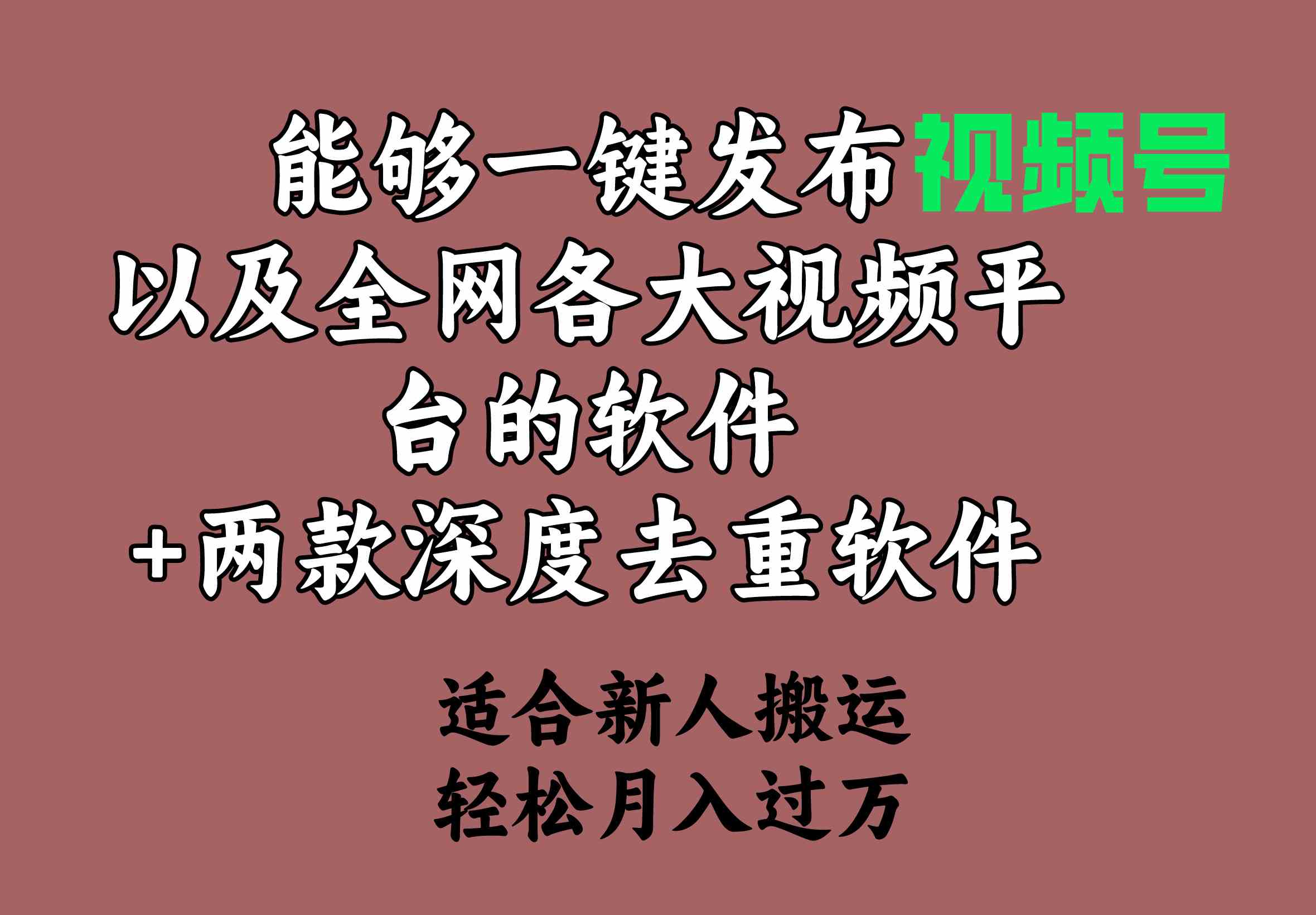 （9319期）能够一键发布视频号以及全网各大视频平台的软件+两款深度去重软件 适合…-保成圈-山云人力,分享创业咨询_最新网络项目资源