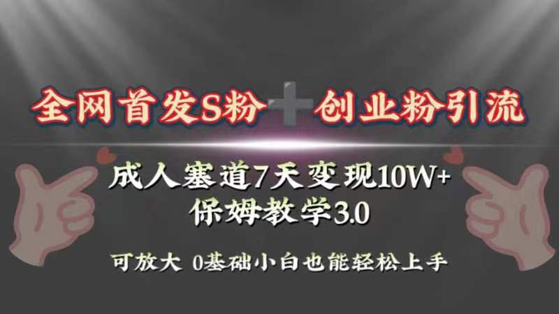 （8337期）全网首发s粉加创业粉引流变现，成人用品赛道7天变现10w+保姆教学3.0-保成圈-山云人力,分享创业咨询_最新网络项目资源