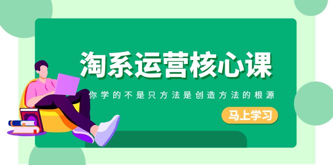（8392期）淘系-运营核心课，你学的不是只方法是创造方法的根源（190节课）-保成圈-山云人力,分享创业咨询_最新网络项目资源