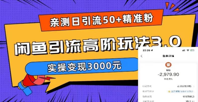 （5739期）实测日引50+精准粉，闲鱼引流高阶玩法3.0，实操变现3000元-保成圈-山云人力,分享创业咨询_最新网络项目资源