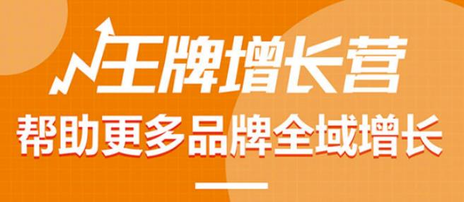 【王牌增长营】帮助更多电商品牌全域增长，月销百万实操干货，价值899元-保成圈-山云人力,分享创业咨询_最新网络项目资源