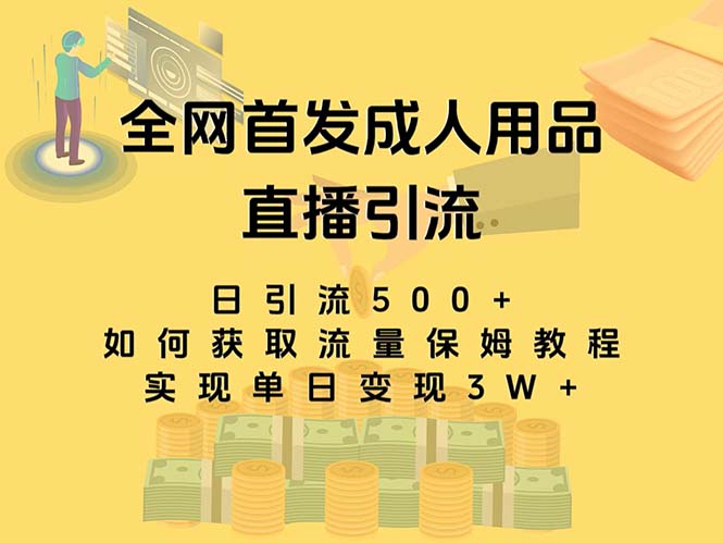（8193期）最新全网独创首发，成人用品直播引流获客暴力玩法，单日变现3w保姆级教程-保成圈-山云人力,分享创业咨询_最新网络项目资源