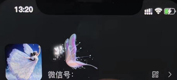 图片[3]-（4980期）微信动态昵称设置方法，可抖音直播引流，日赚上百【详细视频教程+素材】-保成圈-山云人力,分享创业咨询_最新网络项目资源