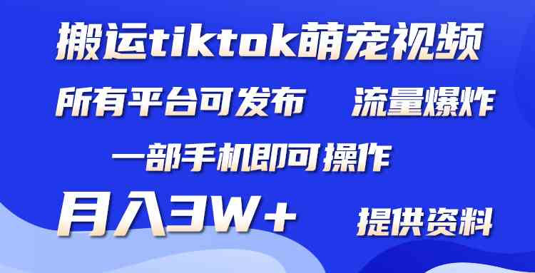 （9618期）搬运Tiktok萌宠类视频，一部手机即可。所有短视频平台均可操作，月入3W+-保成圈-山云人力,分享创业咨询_最新网络项目资源