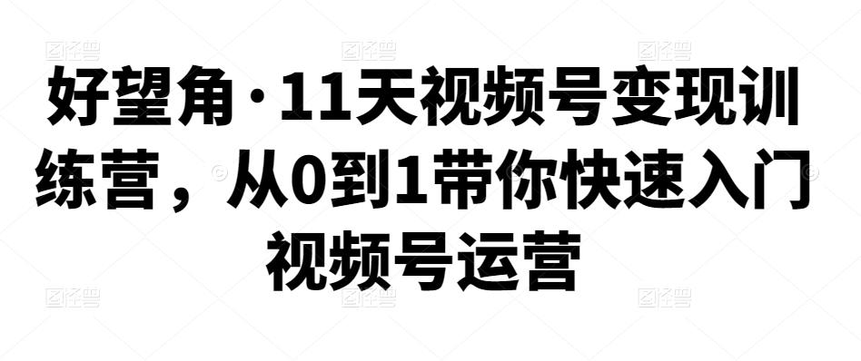 好望角·11天视频号变现训练营，从0到1带你快速入门视频号运营-保成圈-山云人力,分享创业咨询_最新网络项目资源