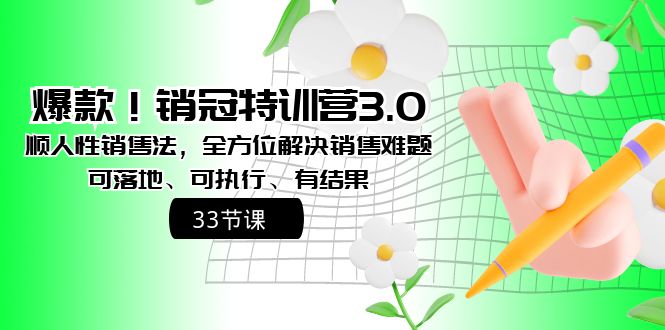 （8573期）爆款！销冠特训营3.0之顺人性销售法，全方位解决销售难题、可落地、可执…-保成圈-山云人力,分享创业咨询_最新网络项目资源