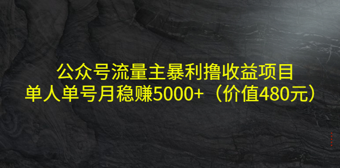 （4011期）公众号流量主暴利撸收益项目，单人单号月稳赚5000+（价值480元）-保成圈-山云人力,分享创业咨询_最新网络项目资源