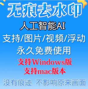 视频无痕去水印软件人工智能没有痕迹去水印工具图片视频去字幕-保成圈-山云人力,分享创业咨询_最新网络项目资源