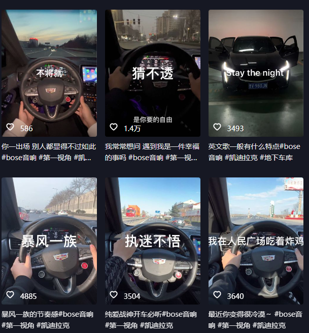 图片[2]-（6199期）抖音开车视频项目，0基础操作，每天五分钟，月入1W+-保成圈-山云人力,分享创业咨询_最新网络项目资源