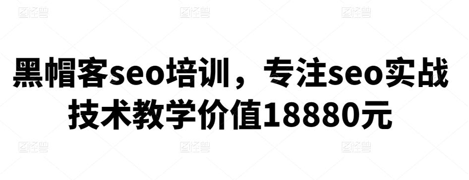 黑帽客seo培训，专注seo实战技术教学价值18880元-保成圈-山云人力,分享创业咨询_最新网络项目资源
