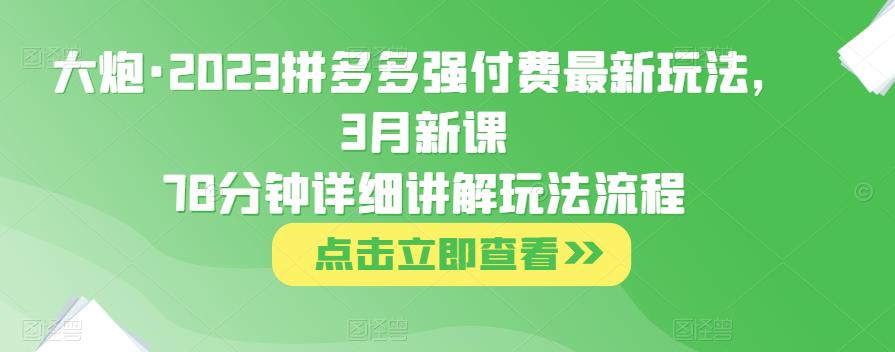 大炮·2023拼多多强付费最新玩法，3月新课​78分钟详细讲解玩法流程-保成圈-山云人力,分享创业咨询_最新网络项目资源