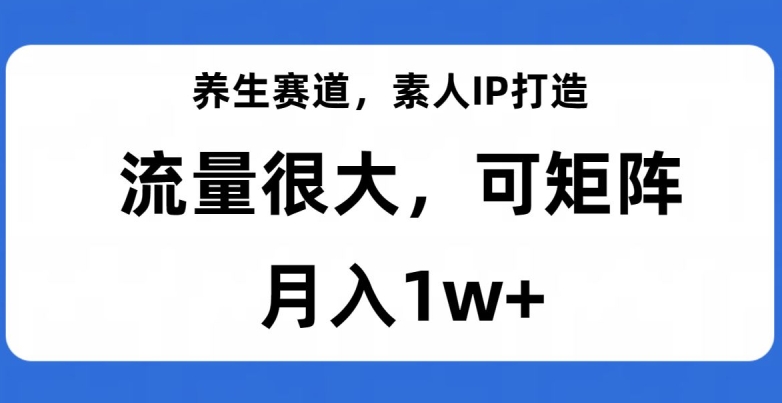 养生赛道，素人IP打造，流量很大，可矩阵，月入1w+【揭秘】-保成圈-山云人力,分享创业咨询_最新网络项目资源