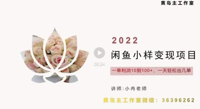 黄岛主最新企业彩铃项目+闲鱼小样项目，利润每天200+轻轻松松，纯视频拆解玩法-保成圈-山云人力,分享创业咨询_最新网络项目资源