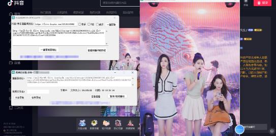 图片[2]-（5907期）最新电脑版抖音/快手/B站直播源获取+直播间实时录制+直播转播【软件+教程】-保成圈-山云人力,分享创业咨询_最新网络项目资源