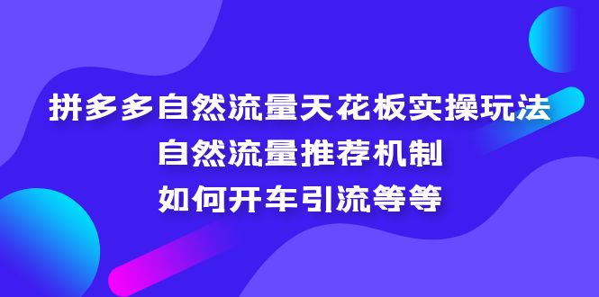 （5327期）拼多多自然流量天花板实操玩法：自然流量推荐机制，如何开车引流等等-保成圈-山云人力,分享创业咨询_最新网络项目资源