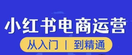 顽石小红书电商高阶运营课程，从入门到精通，玩法流程持续更新-保成圈-山云人力,分享创业咨询_最新网络项目资源