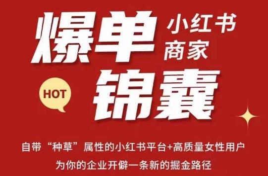 无畏·小红书商家爆单锦囊，掌握小红书各大规则，快速精准抢占行业和市场-保成圈-山云人力,分享创业咨询_最新网络项目资源