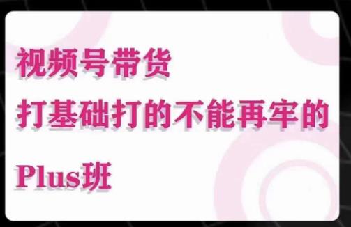 大播汇·视频号带货Puls班，视频号底层逻辑，起号自然流鱼塘等玩法-保成圈-山云人力,分享创业咨询_最新网络项目资源