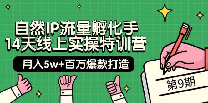 （9881期）自然IP流量孵化手 14天线上实操特训营【第9期】月入5w+百万爆款打造 (74节)-保成圈-山云人力,分享创业咨询_最新网络项目资源
