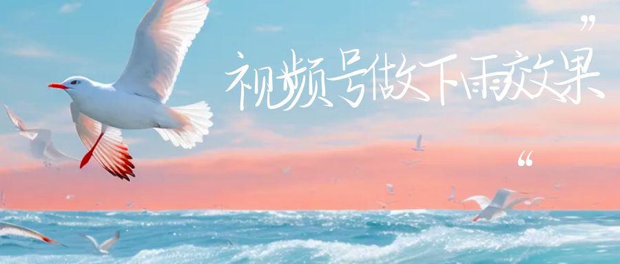 (6637期)视频号做下雨视频一个账号一周涨粉10W+年入100w-保成圈-山云人力,分享创业咨询_最新网络项目资源
