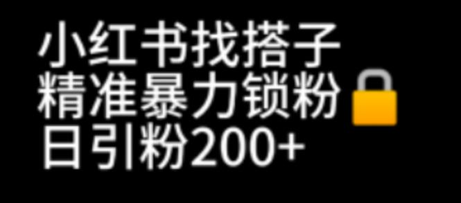 （6807期）小红书找搭子暴力精准锁粉+引流日引200+精准粉-保成圈-山云人力,分享创业咨询_最新网络项目资源