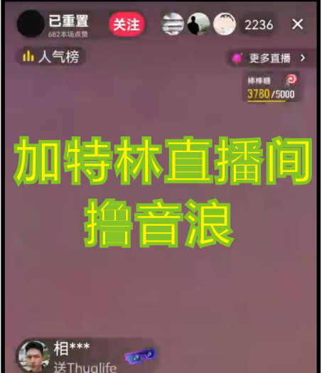 图片[2]-（4791期）2023抖音加特林直播间搭建技术，0粉开播-暴力撸音浪-日入800+【素材+教程】-保成圈-山云人力,分享创业咨询_最新网络项目资源