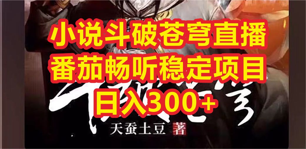 （6584期）小说斗破苍穹直播，番茄畅听日入300+稳定项目-保成圈-山云人力,分享创业咨询_最新网络项目资源