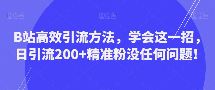 B站高效引流方法，学会这一招，日引流200+精准粉没任何问题【揭秘】-保成圈-山云人力,分享创业咨询_最新网络项目资源