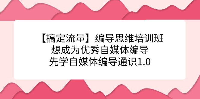 （7281期）【搞定流量】编导思维培训班，想成为优秀自媒体编导先学自媒体编导通识1.0-保成圈-山云人力,分享创业咨询_最新网络项目资源
