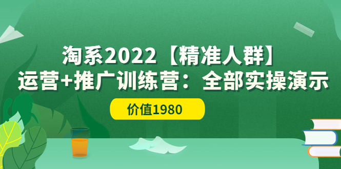 （3516期）淘系2022【精准人群】运营+推广训练营：全部实操演示-保成圈-山云人力,分享创业咨询_最新网络项目资源