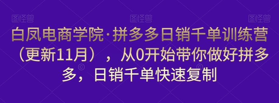 白凤电商学院·拼多多日销千单训练营，从0开始带你做好拼多多，日销千单快速复制（更新知2023年3月）-保成圈-山云人力,分享创业咨询_最新网络项目资源