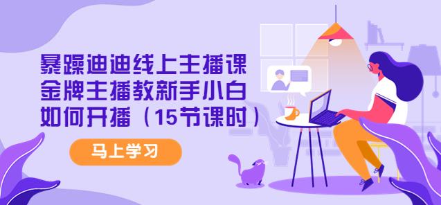 暴躁迪迪线上主播课，金牌主播教新手小白如何开播（15节课时）-保成圈-山云人力,分享创业咨询_最新网络项目资源