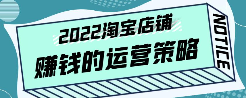 震宇老师·2022年淘宝店铺赚钱的运营策略，一套能够盈利的赚钱打法-保成圈-山云人力,分享创业咨询_最新网络项目资源