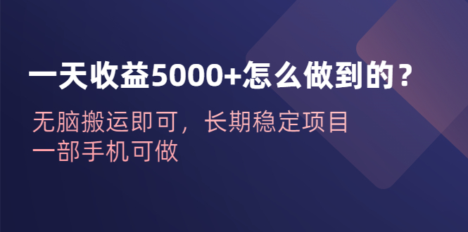 （6435期）一天收益5000+怎么做到的？无脑搬运即可，长期稳定项目，一部手机可做-保成圈-山云人力,分享创业咨询_最新网络项目资源