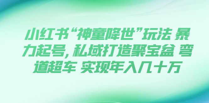 （7673期）小红书“神童降世”玩法 暴力起号,私域打造聚宝盆 弯道超车 实现年入几十万-保成圈-山云人力,分享创业咨询_最新网络项目资源