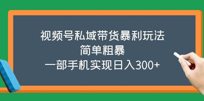 （5544期）视频号私域带货暴利玩法，简单粗暴，一部手机实现日入300+-保成圈-山云人力,分享创业咨询_最新网络项目资源