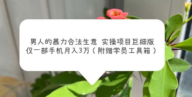 （5962期）男人的暴力合法生意实操项目巨细版：仅一部手机月入3w（附赠学员工具箱）-保成圈-山云人力,分享创业咨询_最新网络项目资源