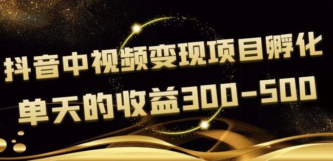 黄岛主抖音中视频变现项目孵化，单天的收益300-500操作简单粗暴-保成圈-山云人力,分享创业咨询_最新网络项目资源