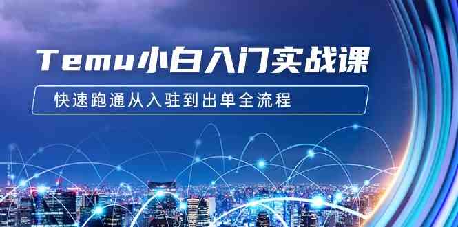 （9295期）Temu小白入门实战课：跨境拼多多电商培训 快速跑通从入驻到出单全流程-12节-保成圈-山云人力,分享创业咨询_最新网络项目资源