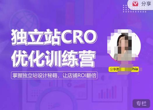 独立站CRO优化训练营，掌握独立站设计秘籍，打造高转化的独立站，让店铺ROI翻倍-保成圈-山云人力,分享创业咨询_最新网络项目资源